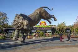 San Diego Zoo Photo