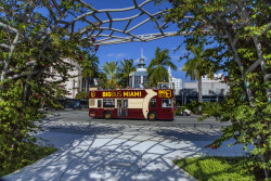 Big Bus Tours - Miami Photo