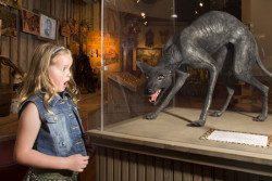 The Buckhorn Saloon & Museum and Texas Ranger Museum Photo