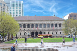 Big Bus Tours - Boston Photo