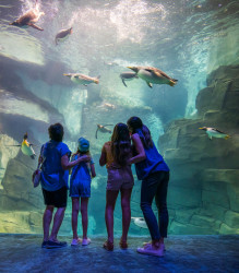 SeaWorld Orlando Photo