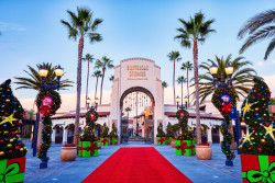 Universal Studios Hollywood Photo
