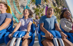 Knott's Berry Farm Theme Park Photo