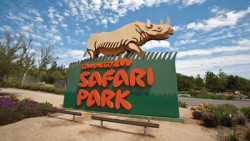 Go City: San Diego Multi-Attraction Explorer Pass Photo
