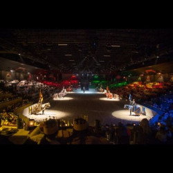 Medieval Times California Photo