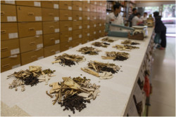 All About Chinatown Walking Tours Photo