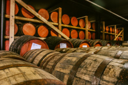 Copper & Kings American Brandy Company Photo