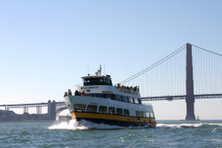 Blue & Gold Fleet Photo