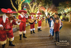 SeaWorld San Antonio Photo