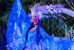 Busch Gardens Tampa Bay Photo