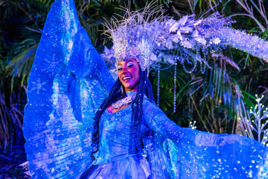 Busch Gardens Tampa Bay