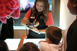 Aquarium of the Bay Photo