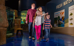 Living Shores Aquarium Photo