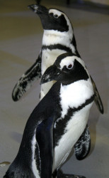 The Florida Aquarium Photo