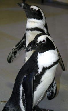 The Florida Aquarium