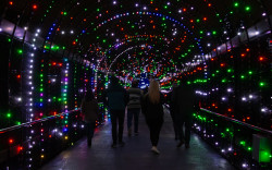 Cincinnati Zoo & Botanical Garden Photo