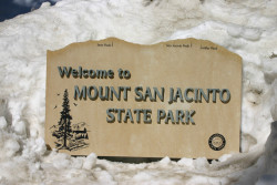 Palm Springs Aerial Tramway Photo