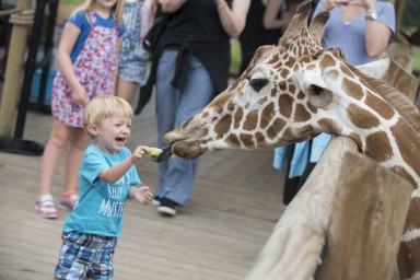 Columbus Zoo and Aquarium