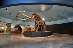 Los Angeles CityPASS&reg; Photo