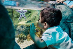 SEA LIFE at Mall of America Photo