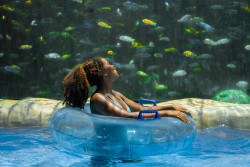 Aquatica Orlando Photo